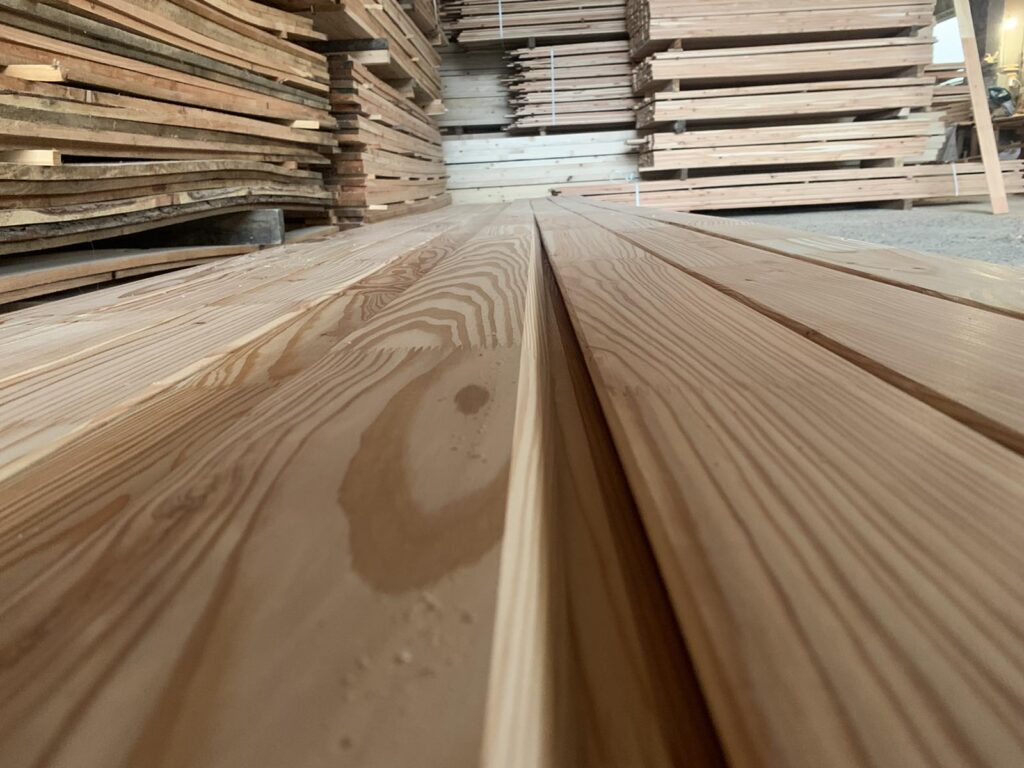 Планкен зрощений модрина (1)