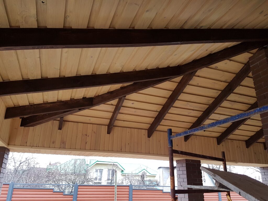 Фальшбрус модрина (2)