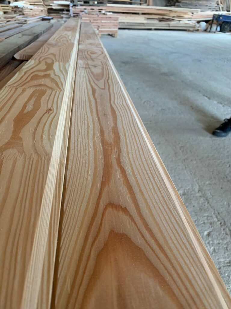 Фальшбрус модрина зрощений (1)